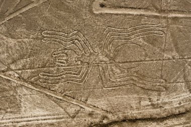 Nazca çizgileri örümcek