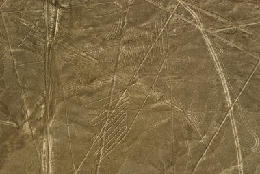 Nazca çizgileri akbaba