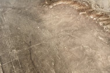 Nazca çizgileri - sinek kuşu