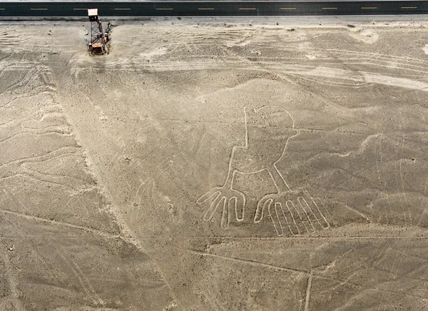 Nazca vonalak kezek — Stock Fotó