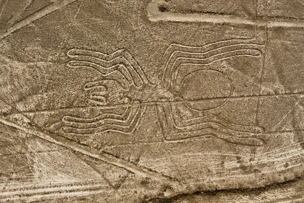 Nazca lines pavouk — Stock fotografie