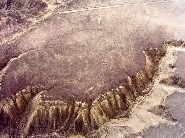 Koliber Linie Nazca — Zdjęcie stockowe