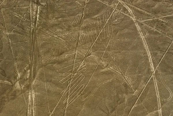 Líneas de Nazca Cóndor — Foto de Stock