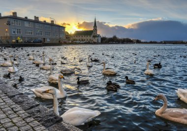 Reykjavik ücretsiz Kilisesi, İzlanda. 