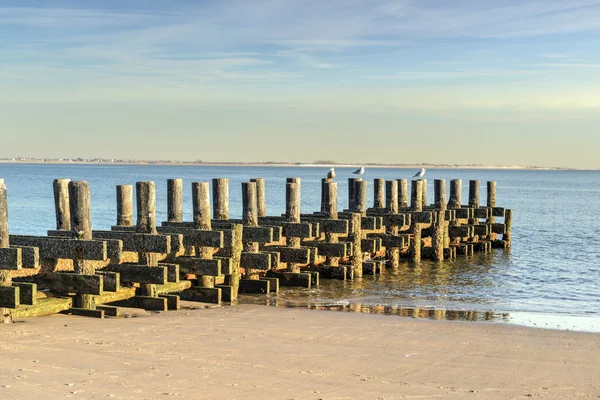 Old Pier on the Beach — Stock Photo, Image