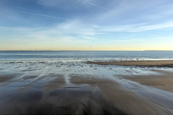 布赖顿和科尼岛的海滩 — 图库照片