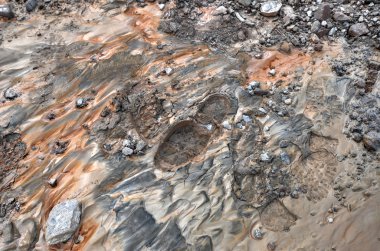 çamur, bootprint
