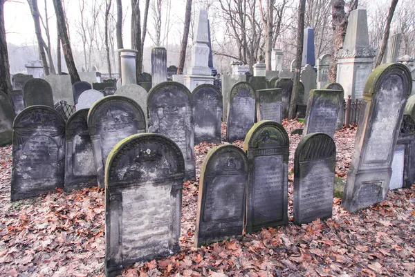 Varşova Yahudi Mezarlığı — 图库照片