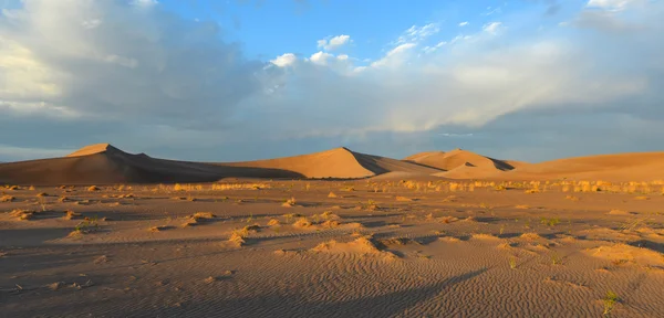 Dune di sabbia lungo il deserto dell'Amargosa al tramonto — Foto Stock