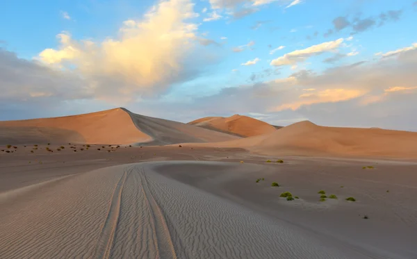 Písečné duny podél amargosa pouště při západu slunce — Stock fotografie