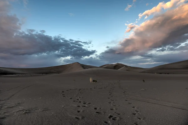 Dune di sabbia lungo il deserto dell'Amargosa al tramonto — Foto Stock