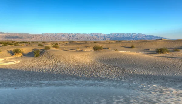 Mesquite düz kum tepeleri, ölüm Vadisi — Stok fotoğraf
