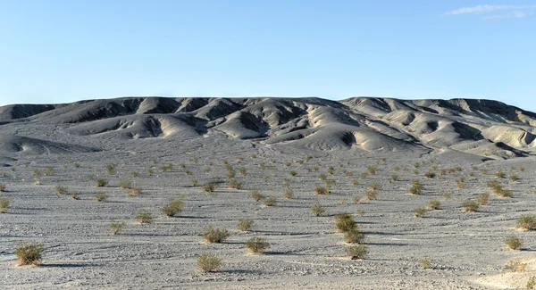 Mesquite platt sanddyner, death valley — Stockfoto