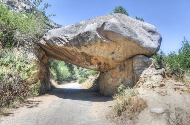 Tünel kaya, sequoia Ulusal Parkı, ABD