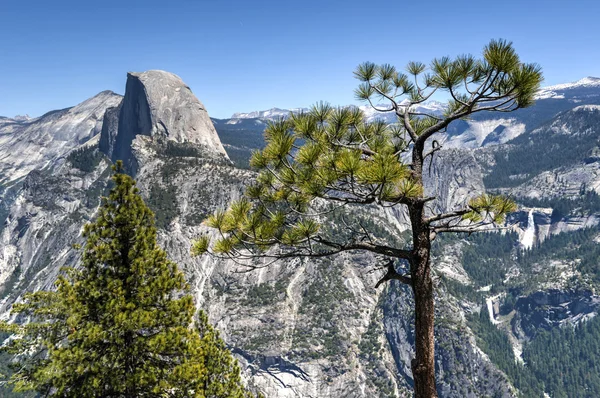 Halve koepel van yosemite valley — Stockfoto