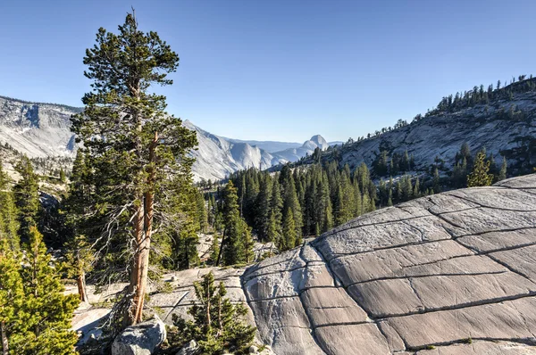 Olmsted Point, Parque Nacional de Yosemite — Fotografia de Stock