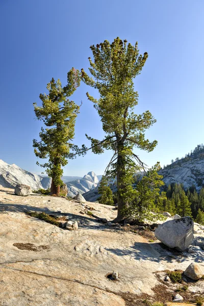 Olmsted Point, Parque Nacional de Yosemite — Fotografia de Stock