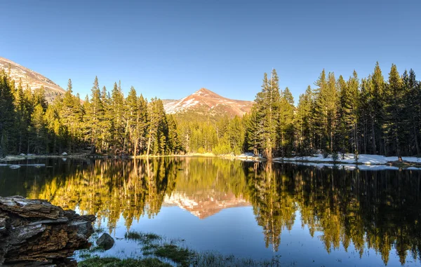 Prati Tuolumne, parco yosemite — Foto Stock