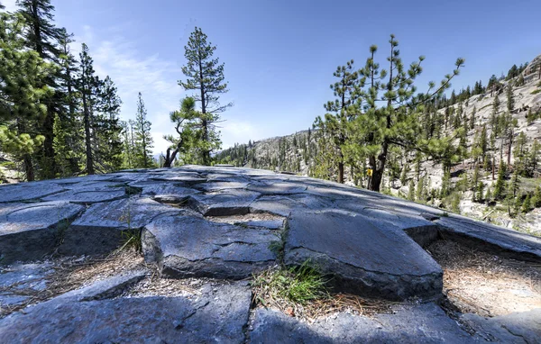 Parte superior de las formaciones de basalto en el monumento nacional Devil 's Postpile — Foto de Stock