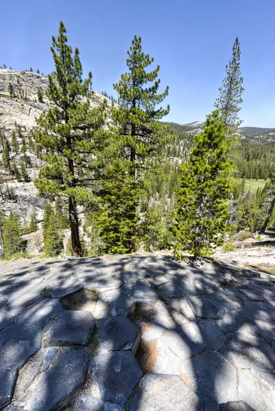 Haut des formations de basalte au monument national de Devil's Postpile — Photo