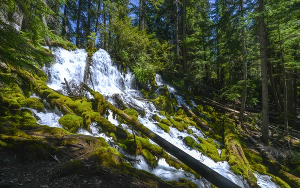 Klares Wasser fällt, oregon — Stockfoto