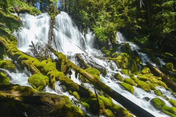 克利尔沃特瀑布, 俄勒冈州 — 图库照片