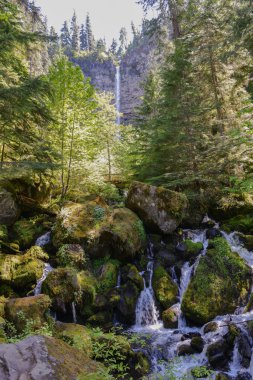 Watson, oregon düşüyor