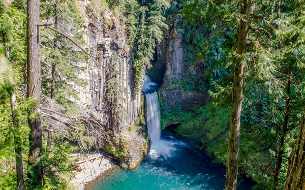 Toketee Falls, Umpqua National Forest, Oregon – stockfoto