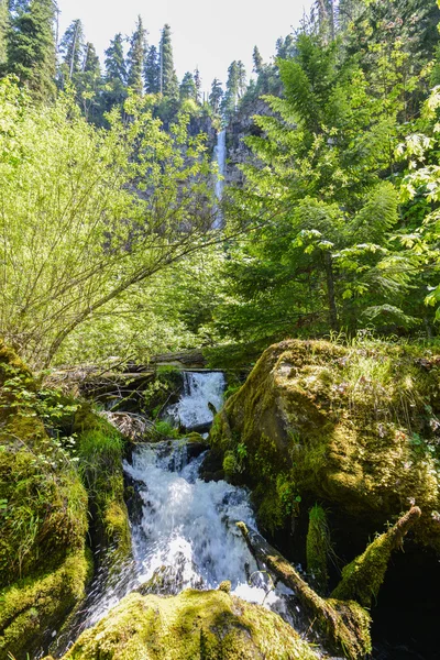 Watson Falls, Oregon — Photo