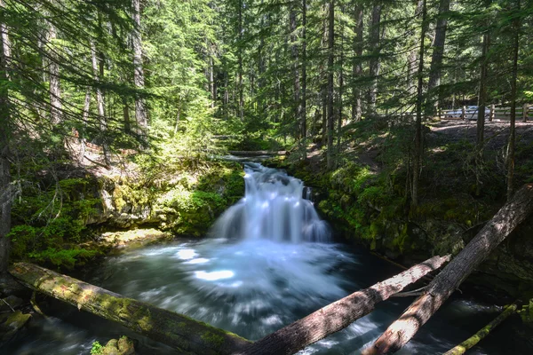 Whitehorse Falls, Oregon — Foto Stock