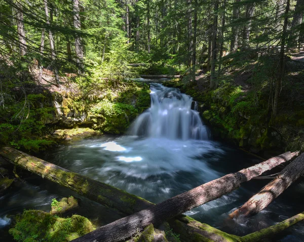 Whitehorse Falls, Oregon — Photo