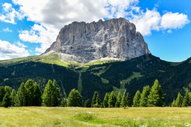 Dolomitlerin renkleri Güney Tyrol, İtalya 'daki vadi manzaralı. Yeşil çimenler, dağlar ve mavi gökyüzü. Yaz.
