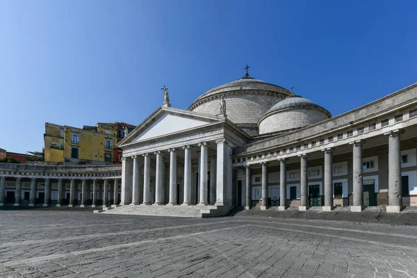 圣弗朗切斯科 达波拉教堂位于城市主广场的主教座堂和意大利那不勒斯的石狮雕塑 — 图库照片
