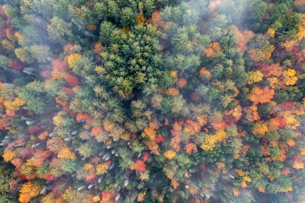 Panoramiczny Widok Szczytowego Opadu Liści Stowe Vermont — Zdjęcie stockowe