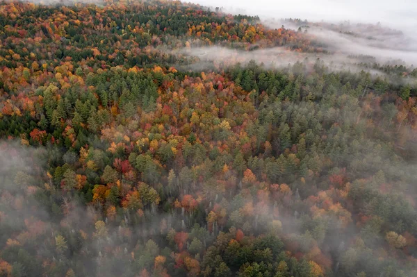Vista Panoramica Del Fogliame Picco Stowe Vermont — Foto Stock