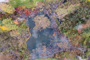 Stowe, Vermont 'ta bulutların yansımasıyla göl manzarası.