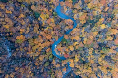 Kaçakçılar Notch, Vermont 'ta tepe yapraklı viraj yolu.