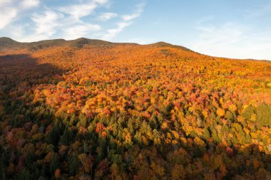 Kaçakçılar Notch, Vermont 'taki tepeden düşen yaprakların panoramik görünümü.