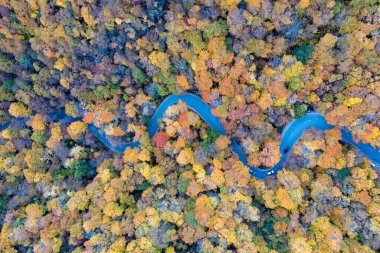 Kaçakçılar Notch, Vermont 'taki tepeden düşen yaprakların panoramik görünümü.