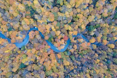 Kaçakçılar Notch, Vermont 'taki tepeden düşen yaprakların panoramik görünümü.
