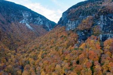 Kaçakçılar Notch, Vermont 'taki tepeden düşen yaprakların panoramik görünümü.