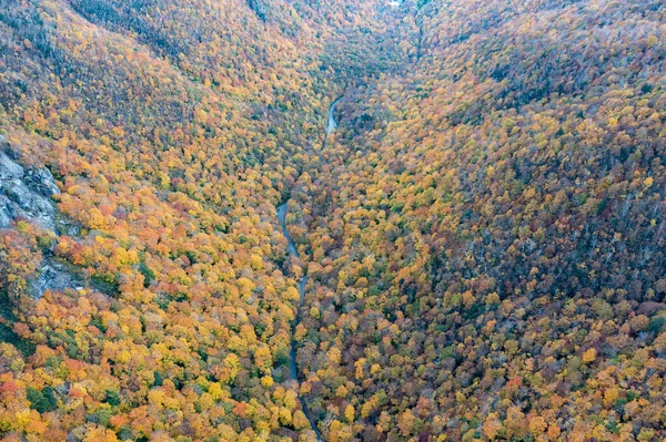 Вид Пик Осенней Листвы Смуглерс Нотч Вермонт — стоковое фото