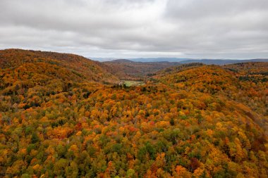 Vermont 'ta sonbaharda kırsal bir çiftliğin panoramik manzarası.