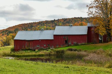 Vermont 'ta sonbaharda kırsal bir çiftliğin panoramik manzarası.