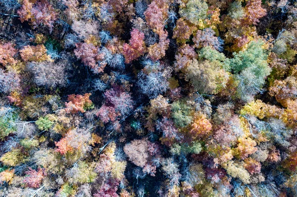 Peak Fall Foliage Keene New York Cascade Lake — Stock Photo, Image