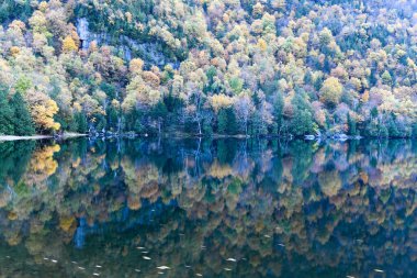 Günbatımında Cascade Gölü 'nün yanındaki Keene, New York' ta yapraklar dökülüyor..