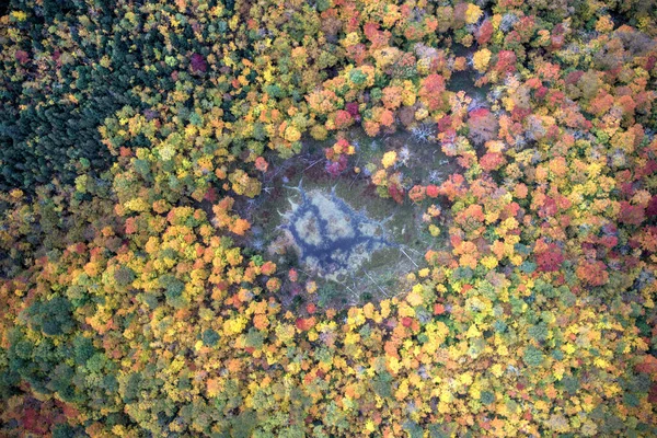 Vista Aérea Del Follaje Del Pico Otoño Keene Nueva York — Foto de Stock