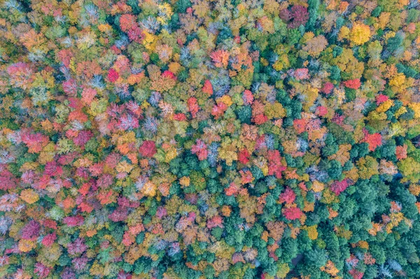 Colgate Lake Upstate New York Während Der Hauptsaison Herbst — Stockfoto
