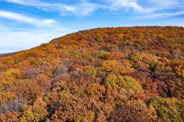 Flygfoto Över Topp Lövverk New Jersey Hösten — Stockfoto