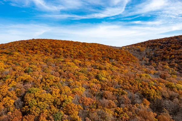 Flygfoto Över Topp Lövverk New Jersey Hösten — Stockfoto